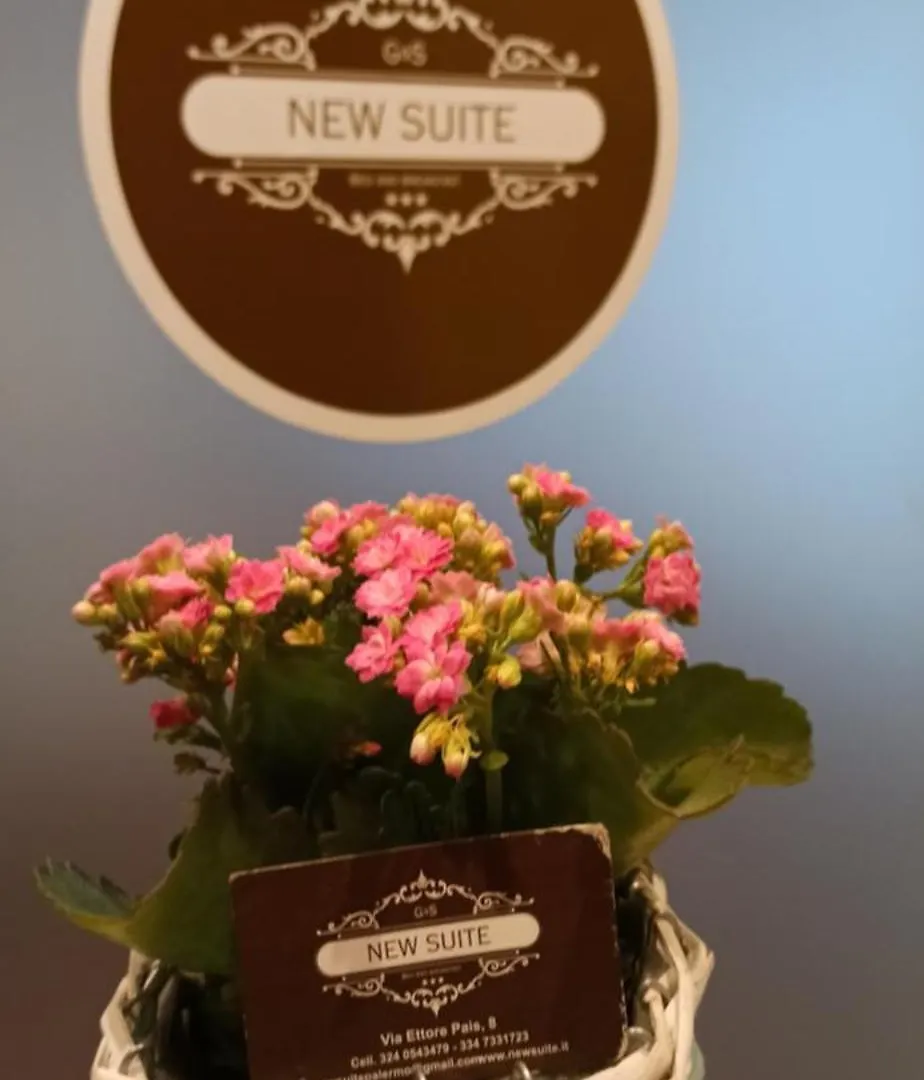 Bed & Breakfast New Suite Palermo Italy